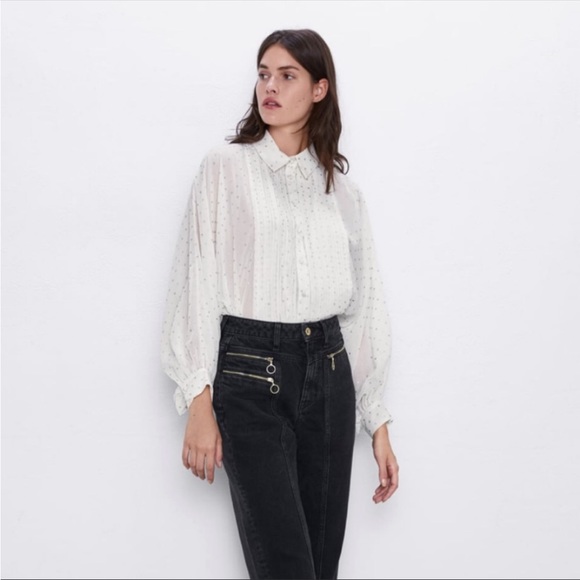 Zara Sheer Polka Dot Blouse - Picture 2 of 9